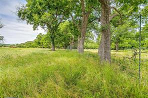 7401 Tin Top Highway - Photo 25