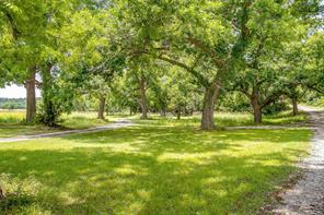 7401 Tin Top Highway - Photo 26