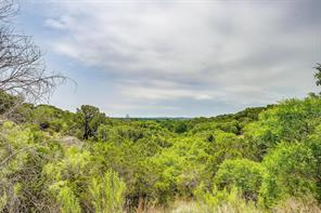 7401 Tin Top Highway - Photo 31