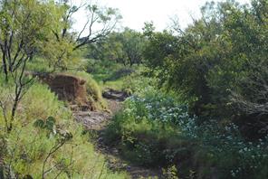 TBD CR 131 - Photo 10