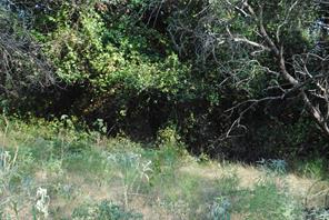 TBD CR 131 - Photo 11
