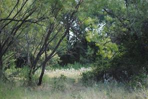 TBD CR 131 - Photo 13