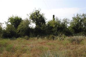 TBD CR 131 - Photo 15