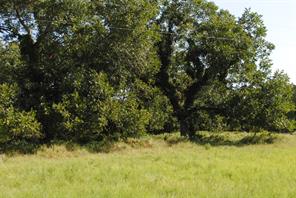 TBD CR 131 - Photo 20