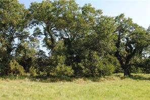 TBD CR 131 - Photo 21