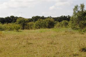 TBD CR 131 - Photo 27