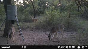 TBD CR 131 - Photo 29
