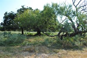 TBD CR 131 - Photo 3