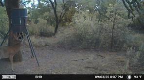 TBD CR 131 - Photo 30