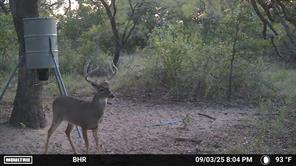 TBD CR 131 - Photo 5
