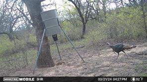 TBD CR 131 - Photo 6