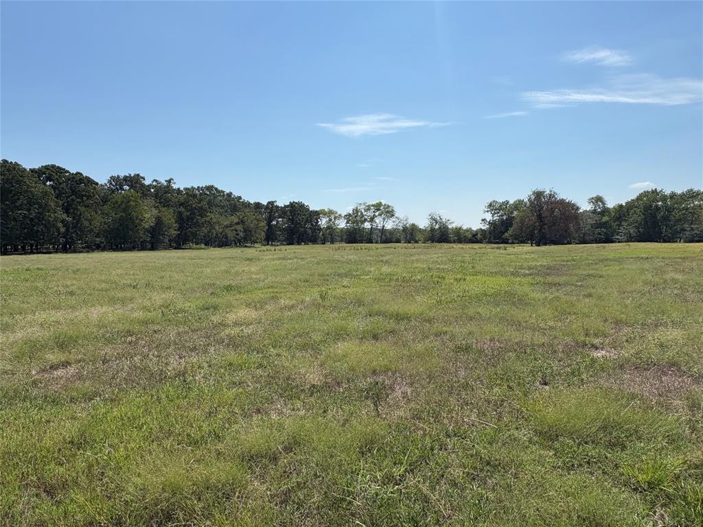 TBD 1 County Road 1168 - Photo 1