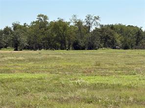 TBD 1 County Road 1168 - Photo 10