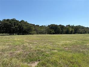 TBD 1 County Road 1168 - Photo 8