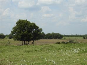 TBD County Road 4040 - Photo 11
