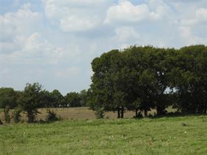 TBD County Road 4040 - Photo 12