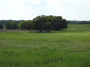TBD County Road 4040 - Photo 16