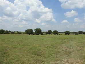 TBD County Road 4040 - Photo 6