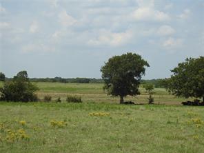 TBD County Road 4040 - Photo 8