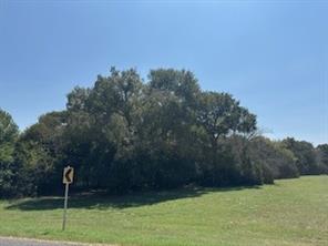1017 White Bluff Drive - Photo 34