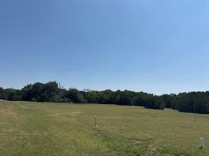 1017 White Bluff Drive - Photo 35