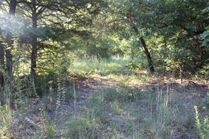 TBD CR 935 - Photo 2