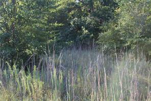 TBD CR 935 - Photo 6