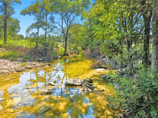 TBD-196.5 acres FM 116 Road