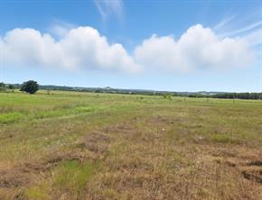 TBD-196.5 acres FM 116 Road - Photo 11
