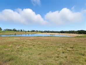 TBD-196.5 acres FM 116 Road - Photo 12