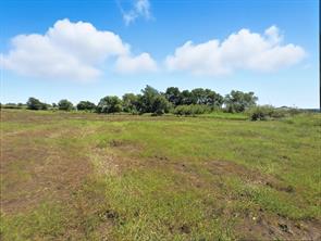 TBD-196.5 acres FM 116 Road - Photo 13