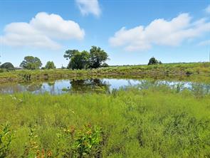 TBD-196.5 acres FM 116 Road - Photo 14