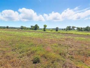 TBD-196.5 acres FM 116 Road - Photo 15