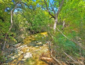 TBD-196.5 acres FM 116 Road - Photo 16
