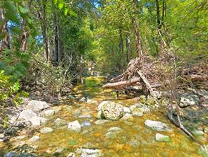 TBD-196.5 acres FM 116 Road - Photo 17