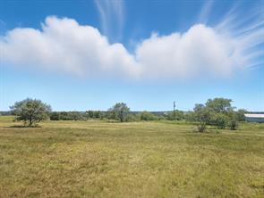 TBD-196.5 acres FM 116 Road - Photo 19