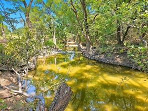 TBD-196.5 acres FM 116 Road - Photo 2