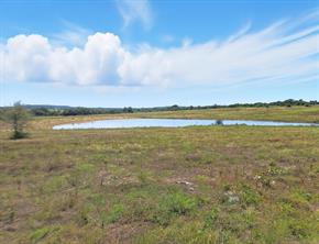 TBD-196.5 acres FM 116 Road - Photo 20