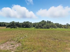 TBD-196.5 acres FM 116 Road - Photo 21