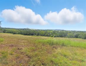TBD-196.5 acres FM 116 Road - Photo 22