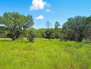 TBD-196.5 acres FM 116 Road - Photo 23