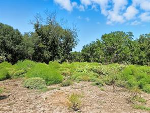 TBD-196.5 acres FM 116 Road - Photo 24