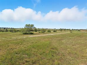 TBD-196.5 acres FM 116 Road - Photo 25