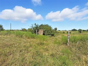 TBD-196.5 acres FM 116 Road - Photo 26