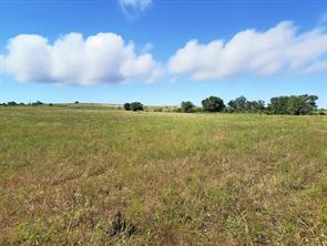 TBD-196.5 acres FM 116 Road - Photo 27