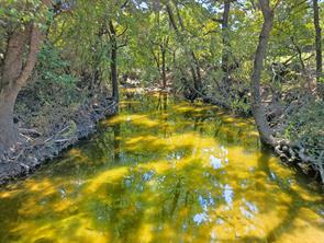 TBD-196.5 acres FM 116 Road - Photo 3