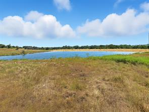 TBD-196.5 acres FM 116 Road - Photo 4