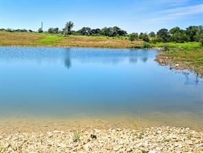 TBD-196.5 acres FM 116 Road - Photo 7