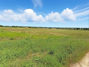 TBD-196.5 acres FM 116 Road - Photo 8