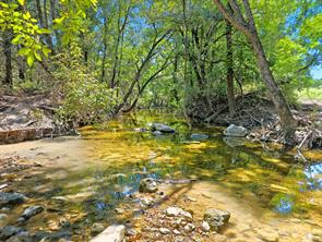 TBD-196.5 acres FM 116 Road - Photo 9